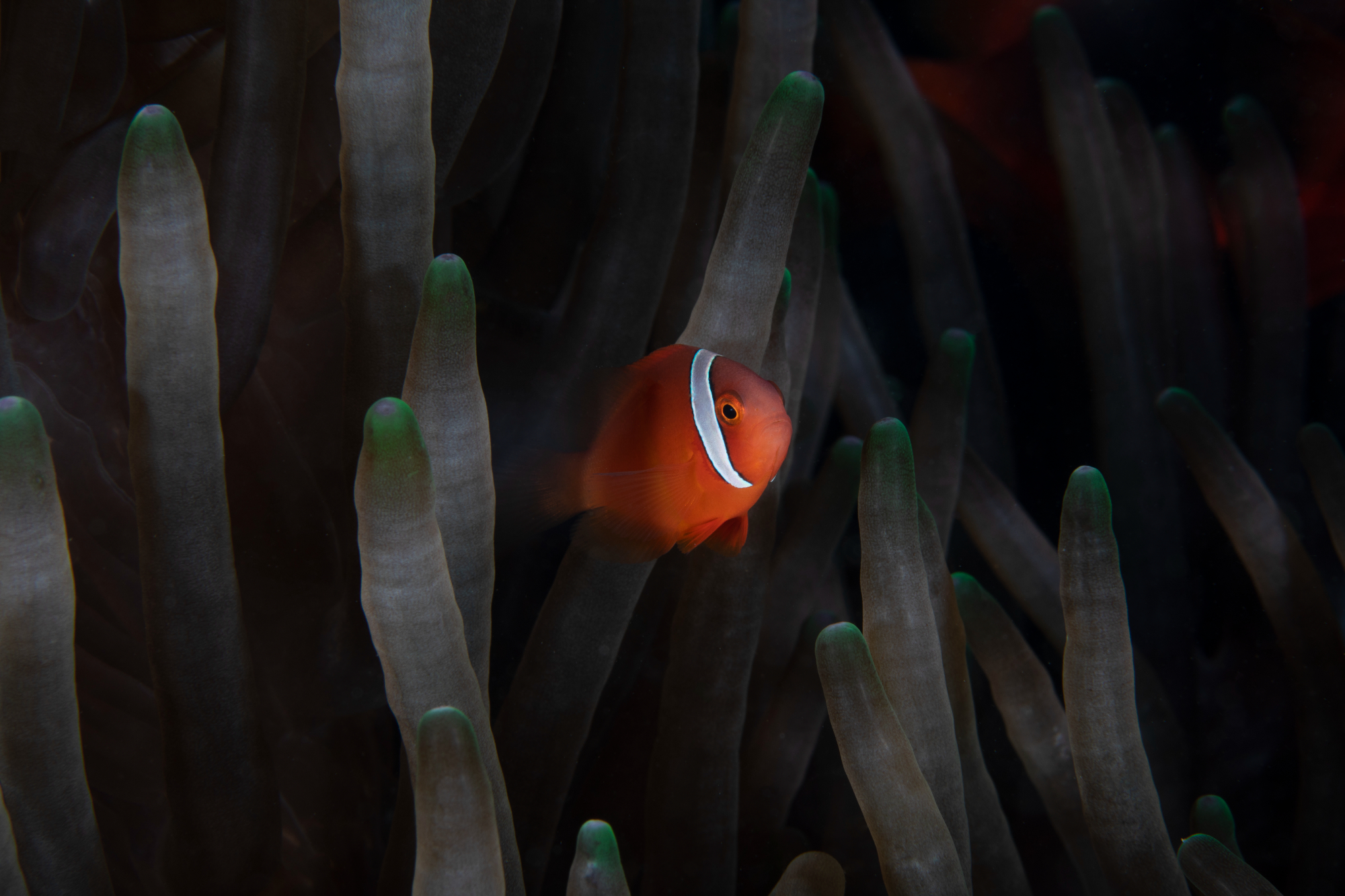 Coron, Philippines